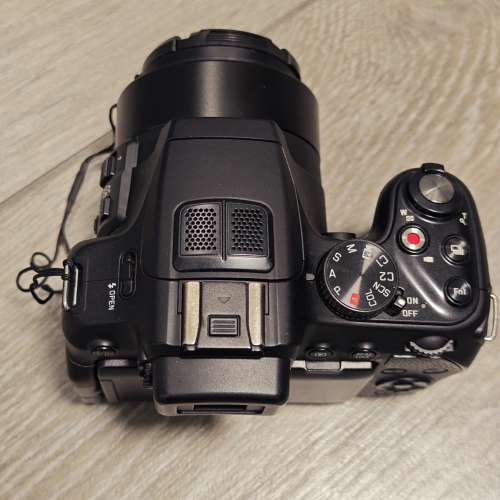 Leica V-Lux 4