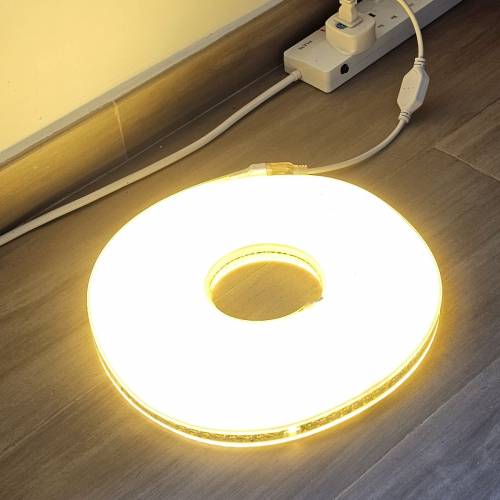 LED 燈帶，HK$40，約10米長 (230V)