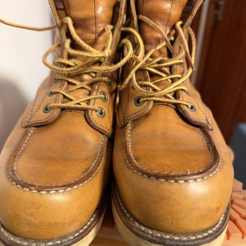 Red Wing 875
