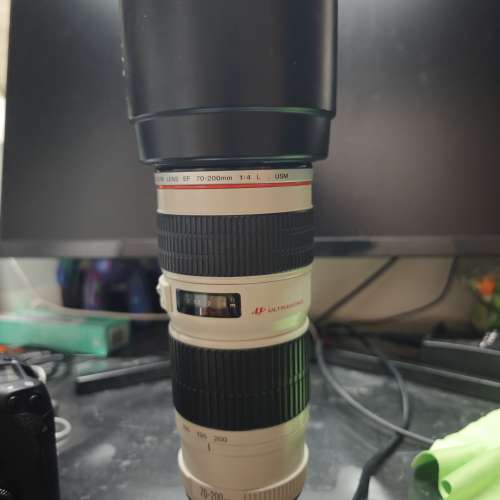 Canon EF 70-200mm f/4L USM (Non-IS) 小小白