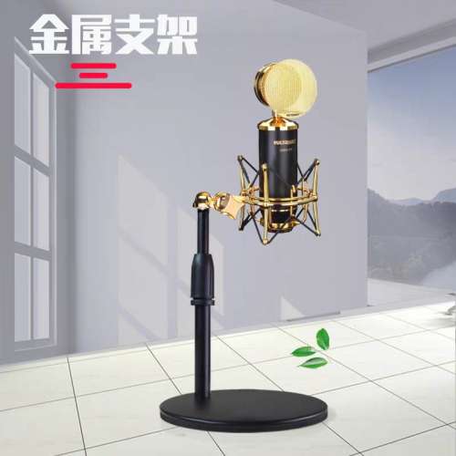 Alctron Microphone Mic G60 愛克創 大振膜 電容 麥克風 話筒 直播 K歌 錄音