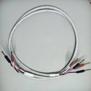 美國 Straight Wire Super Quad 12/4 Bi Wire中置喇叭蕉插線