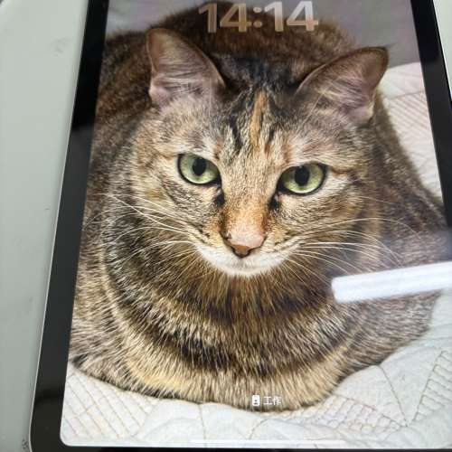 iPad mini7 A17 Pro 128 GB