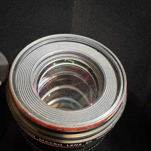Canon EF 100mm f/2.8L Macro IS USM 微距鏡頭 百微 1:1放大