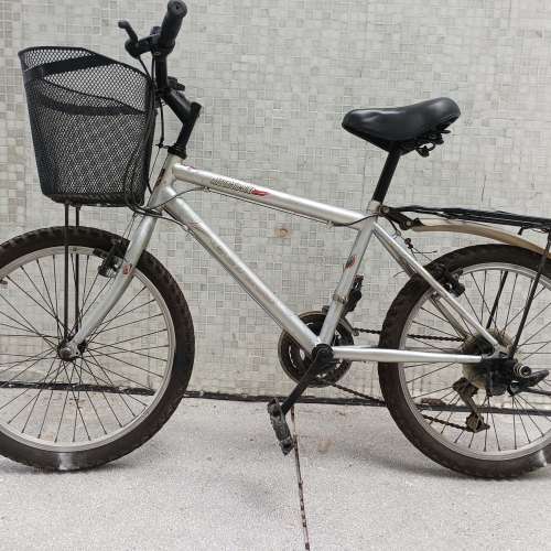 20 吋銀色 單車