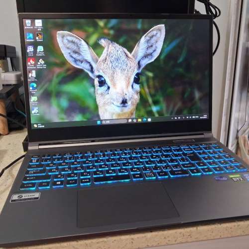 GALLERIA XL7C-R36 GAMING LAPTOP