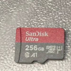 sandisk 256 sd卡