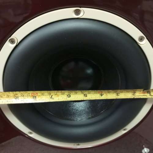 Tannoy arena 10寸低音 正常pm 有片