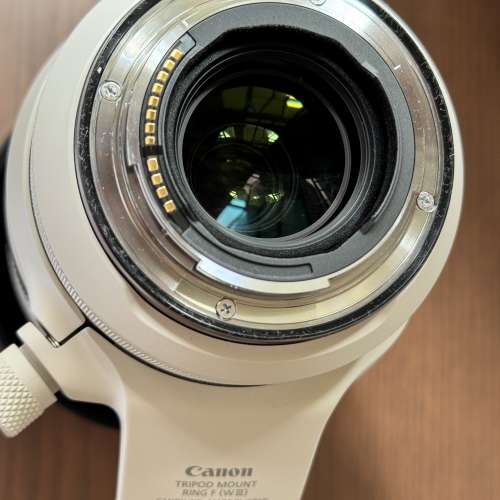 有保 Canon RF100-500mm F4.5-7.1 L IS USM