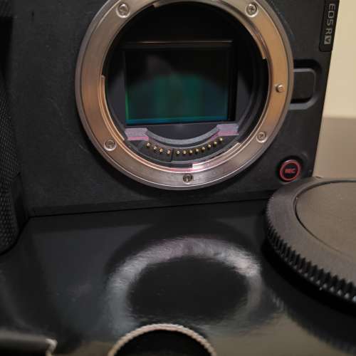 canon r6v
