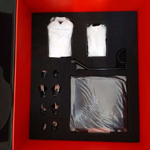 Hot Toys Michael Jackson 12 inch Action Figure - DX03