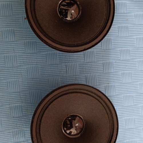 Bose 4.2 Series II 音樂音箱一對