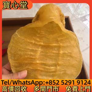 高價回收 金蘭赤嘴鰩魚膠，花膠，魚膠，魚肚，老花膠，陳年花膠，鳘魚膠，北海母，...