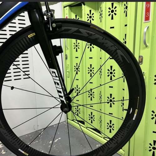 Giant 公路車