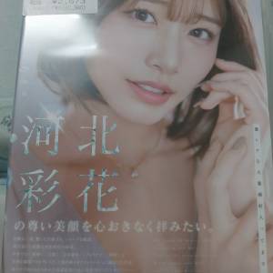 河北DVD