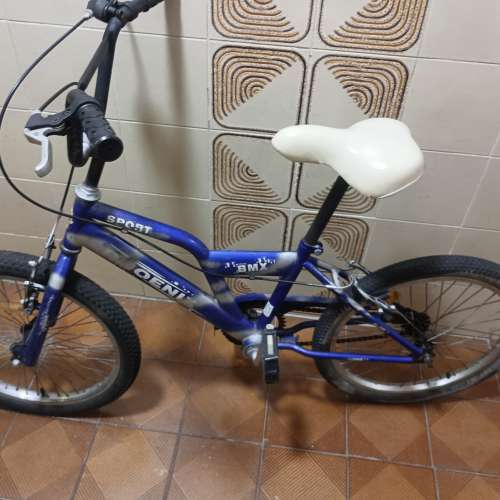 20 吋 藍色定速單車