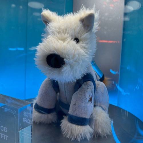 Jellycat