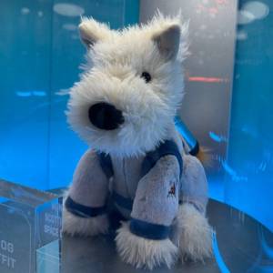 Jellycat