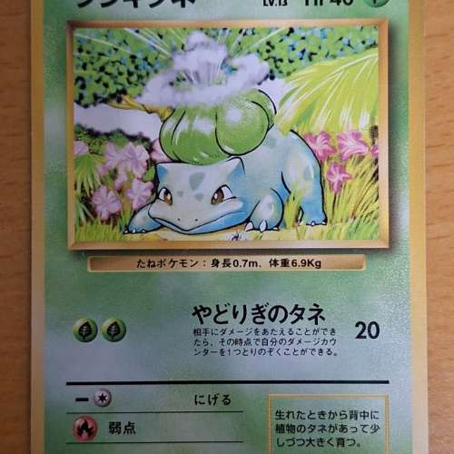 30年前第一彈第一款(編號001)Pok&eacute;mon Card ptcg