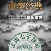 老同志2021年出產 布朗生雲南七子 357g/餅 生茶餅
