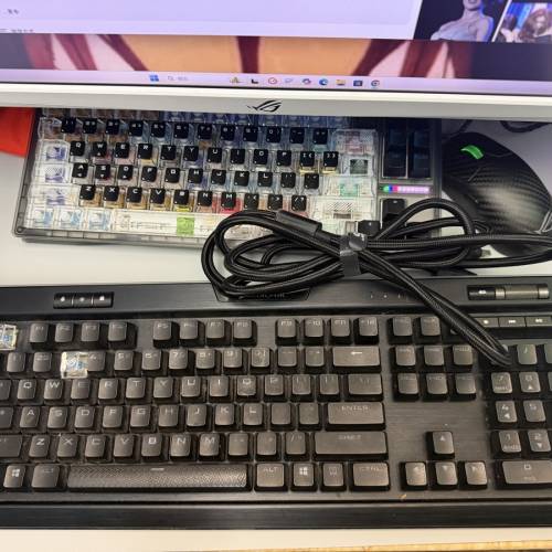ASUS EXTREME mouse + K95 Keyboard