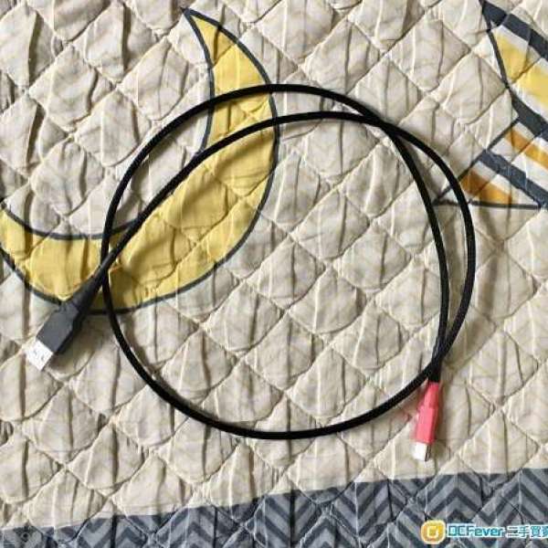 可以提升CAS 分析力,音效！要求高的用家必備！純銀 Type A to B USB Cable