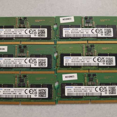 三星 DDR5 5600 8GB SODIMM (有6條）