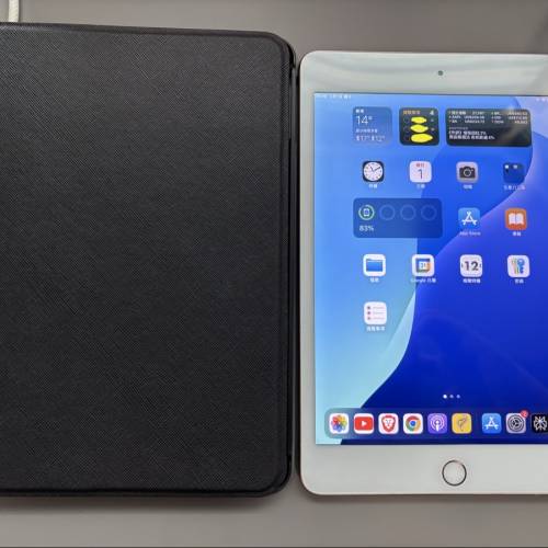 【粗用恩物】iPad Mini 5 (64GB) 灰色 | 已換新電 | 100% work 閱讀/睇片一流