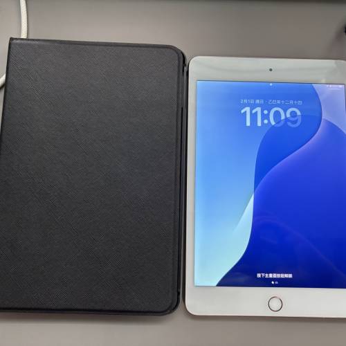 【粗用恩物】iPad Mini 5 (64GB) 灰色 | 已換新電 | 100% work 閱讀/睇片一流