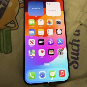 港行iPhone15 pro max 512gb  battery health 89%
