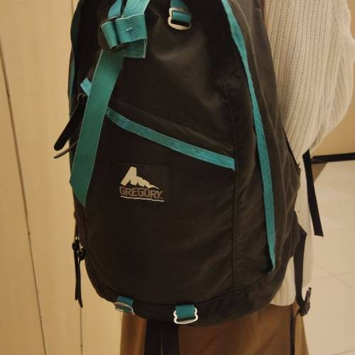 Gregory day pack 26L