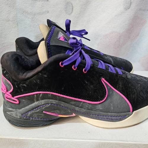 Nike LeBorn XXII EP 藍球鞋