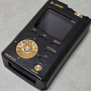 Lotoo Paw Gold 10th 樂圖金菊花10周年