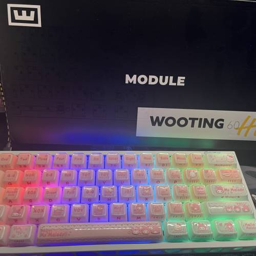 wooting60he+