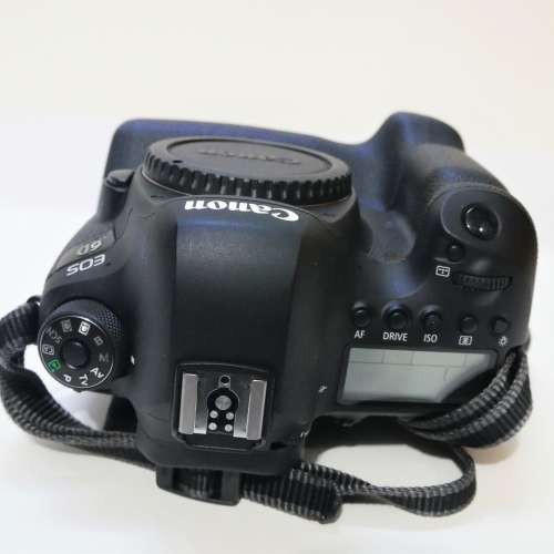 Canon 6D II with EF100-400L