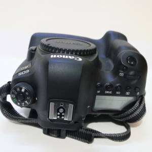 Canon 6D II with EF100-400L