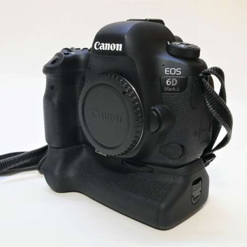 Canon 6D II with EF100-400L