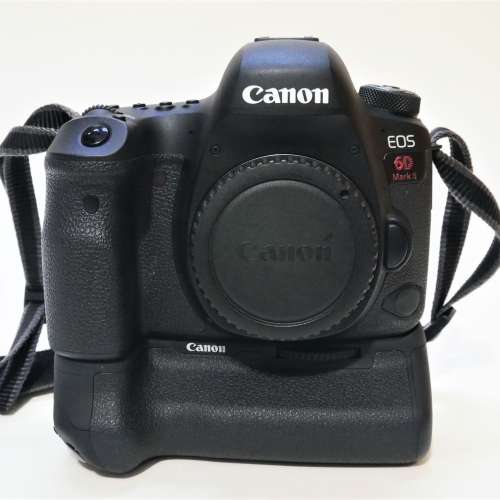 Canon 6D II with EF100-400L