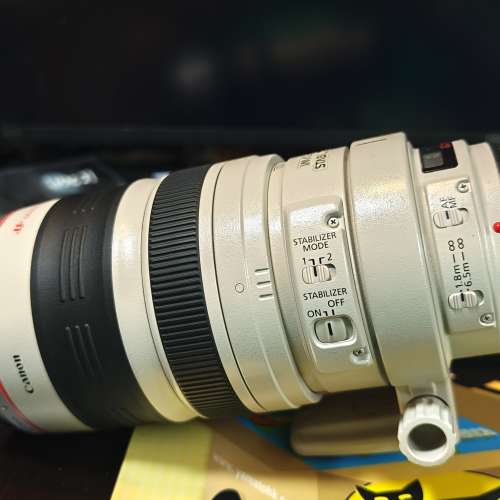 Canon 6D II with EF100-400L