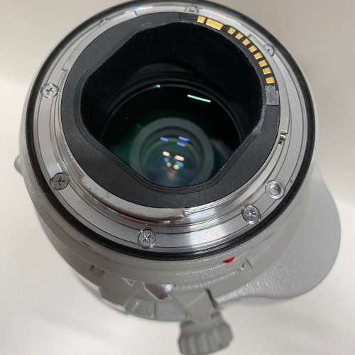 Canon 200 - 400mm F4 IS USM EF Extender 1.4x Lens 佳能 長炮 鏡頭 L鏡