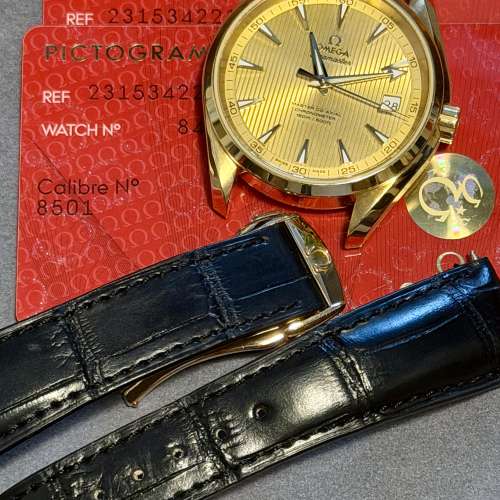 OMEGA SEA MASTER AQUA TERRA 18K