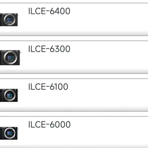 Sony 原装相机皮套，A6100,6400
