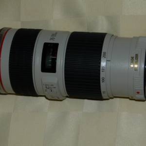 Canon EF 70-200mm f4 L IS USM Zoom Lens (latest lens)