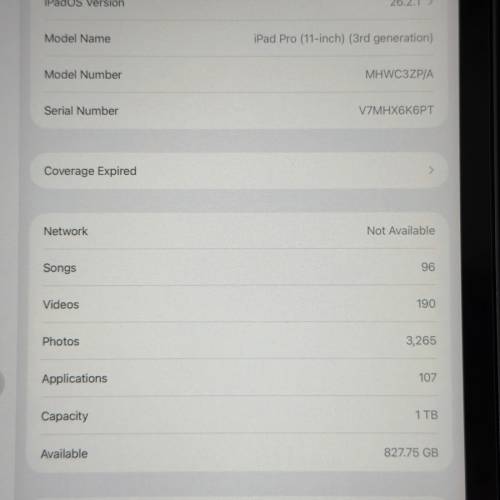 98新 iPad Pro 11 寸 （三代） 1TB M1 晶片 Wifi + 移動網絡