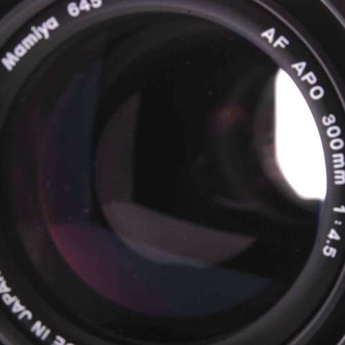 Mamiya 645 AF APO 300 mm f/4.5