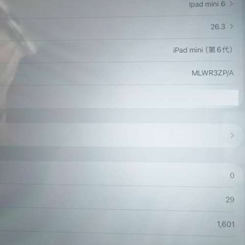 Apple iPad mini 6 (256GB) 港行 粉色 WIFI