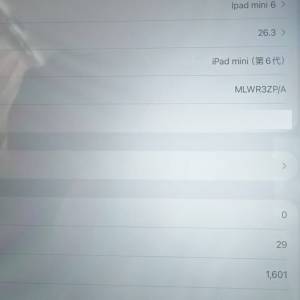 Apple iPad mini 6 (256GB) 港行 粉色 WIFI