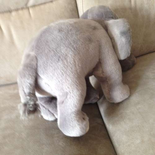 👶 Home Decor Figure Toy Elephant USED 玩具 👶