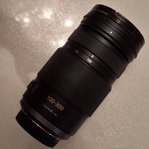 Panasonic Lumix 100-300mm 鏡頭