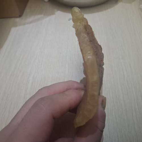 野生鰵魚膠